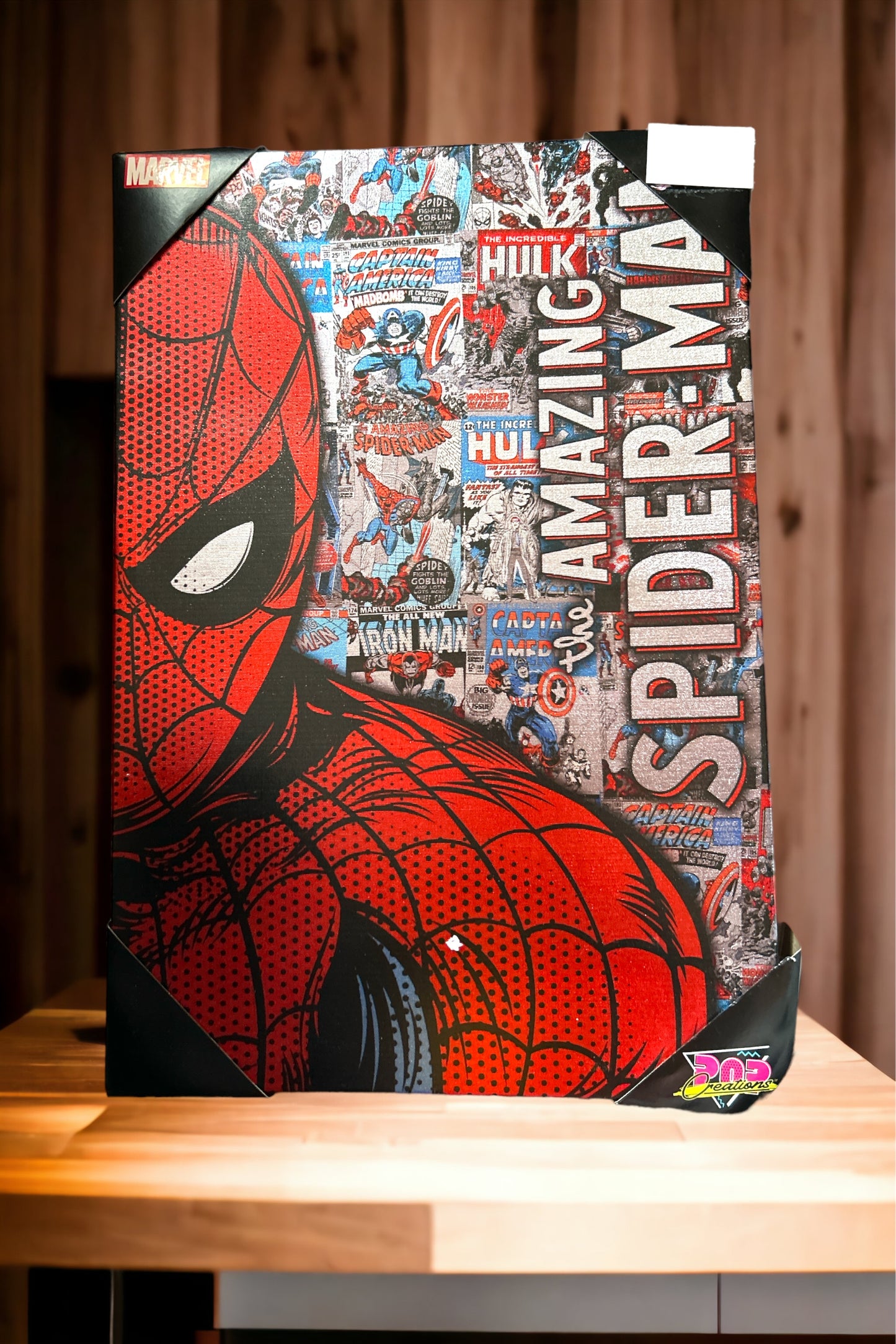 Spider-Man Canvas wall hanging Decor
